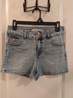 Celebrity Pink Denim Shorts